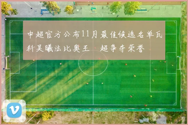 中超官方公布11月最佳候选名单瓦科吴曦法比奥王燊超争夺荣誉