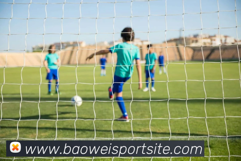 宝威体育APP 封面图